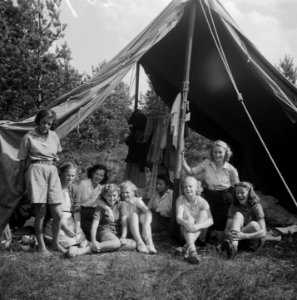 Kamp Oirschot meisjes VCTC, Bestanddeelnr 902-8979