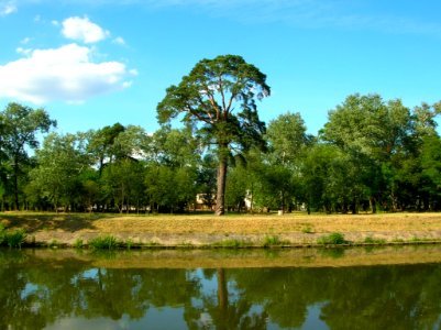 Kanał Bydgoski Flisy 2005