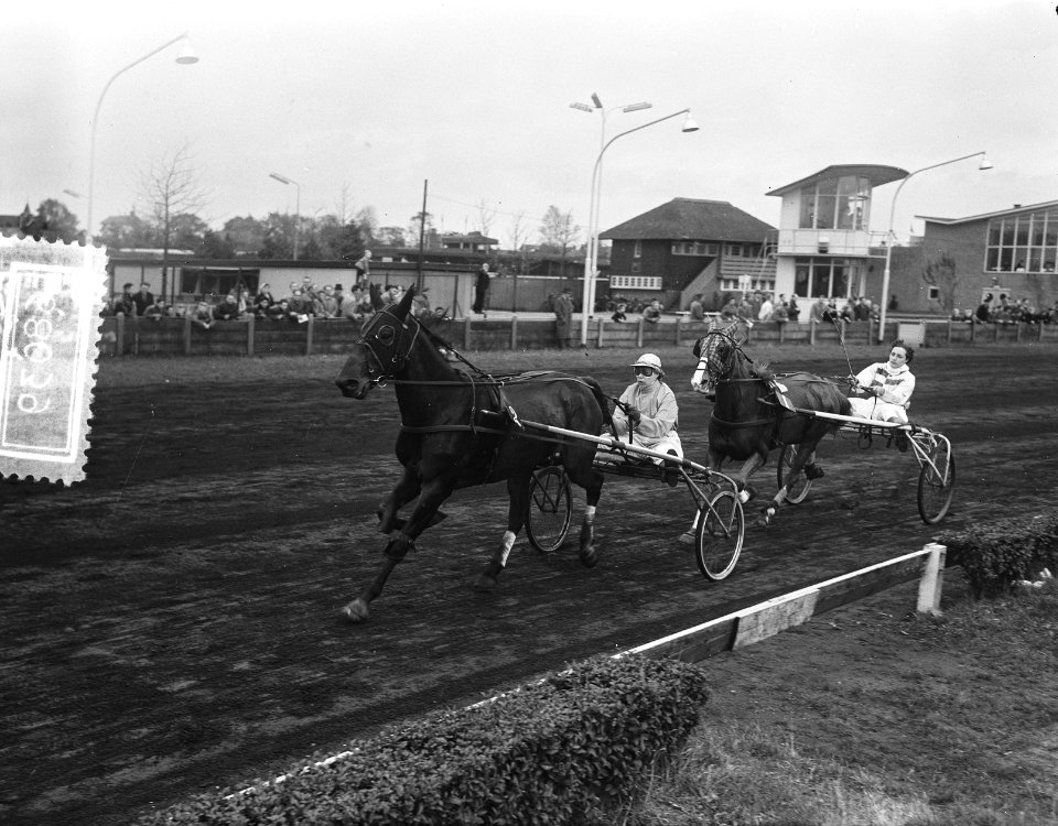 Kampioen van Nederland, dames-pikeurs Hilversum, kampioen mevrouw Hamming Woldij, Bestanddeelnr 906-8039