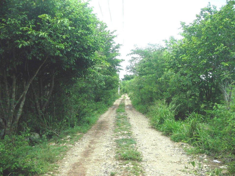 Kampepén (Mérida), Yucatán (03)