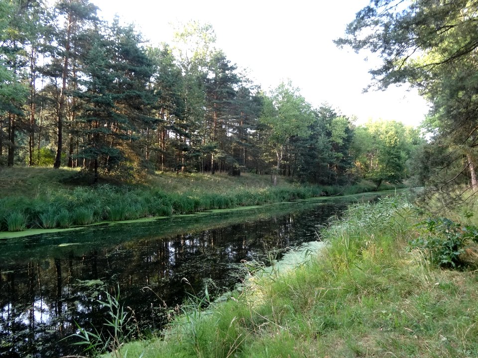 Kanal Notecki Murowaniec 5 07-2014