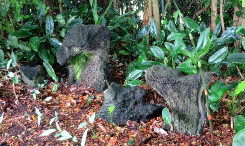 Kappa with stolen horse, Spalding House gardens, Honolulu
