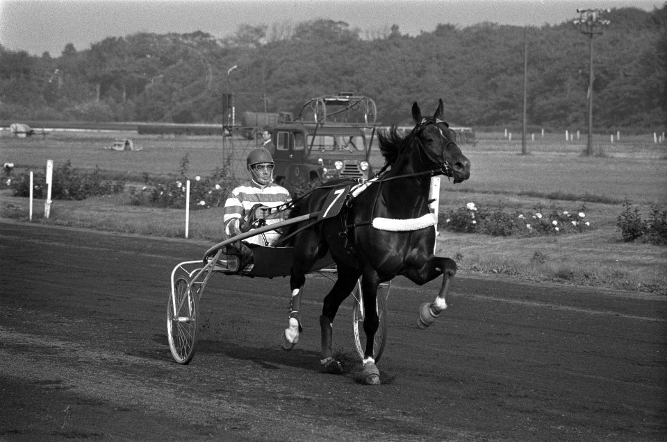 Kampioenschap dravers van Nederland op Duindigt, Bestanddeelnr 924-9498