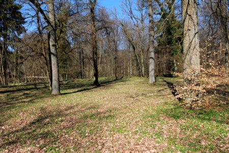 Kapersburg Taunus 2021-04-02 03