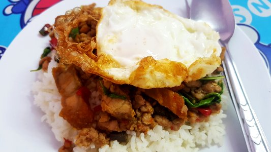 Ka-phrao mu (basil fried pork) with rice & egg, Bangkok, 2019-03-31 (3)