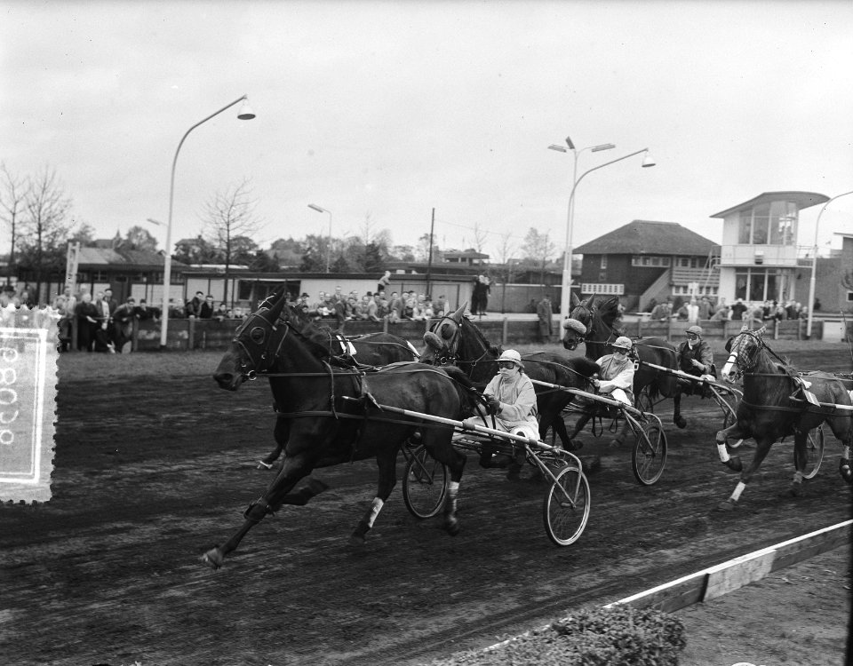 Kampioen van Nederland, dames-pikeurs Hilversum, kampioen mevrouw Hamming Woldij, Bestanddeelnr 906-8036