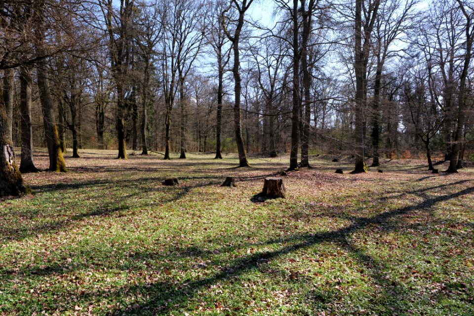 Kapersburg Taunus 2021-04-02 04