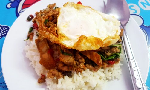 Ka-phrao mu (basil fried pork) with rice & egg, Bangkok, 2019-03-31 (2)
