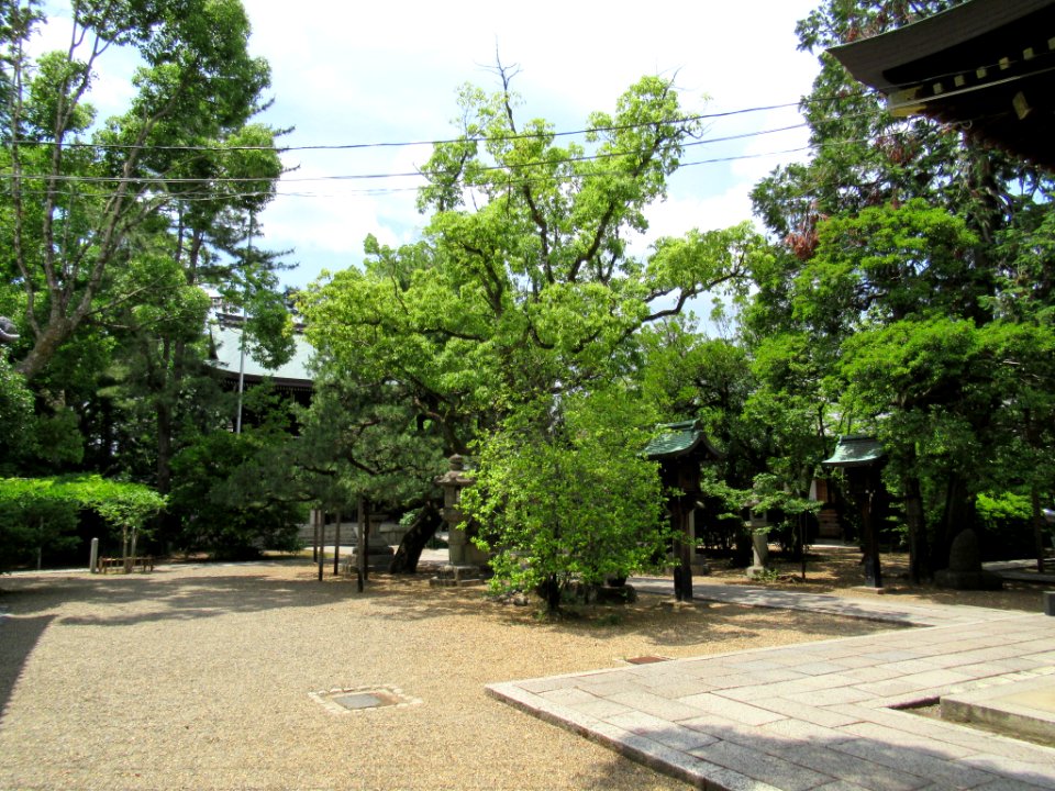 Kamigoryo-jinja 046