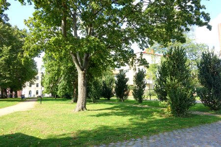 Kapellparken - Karlskrona, Sweden - DSC08787