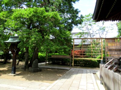 Kamigoryo-jinja 025