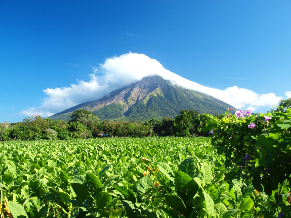 Concepcion ometepe tobacco