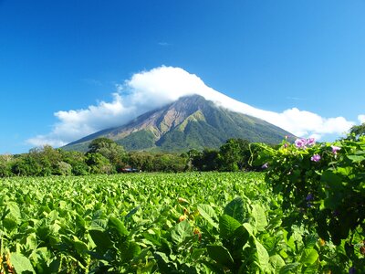 Concepcion ometepe tobacco