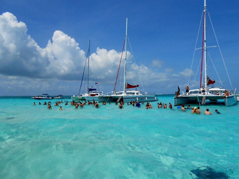 Stingrays caribbean island
