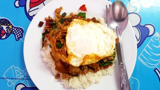 Ka-phrao mu (basil fried pork) with rice & egg, Bangkok, 2019-03-31 (1)