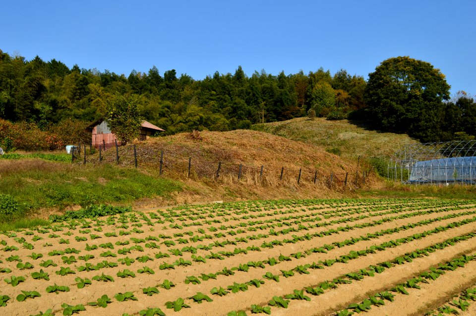 Kanazuka Kofun (Asuka), funkyu