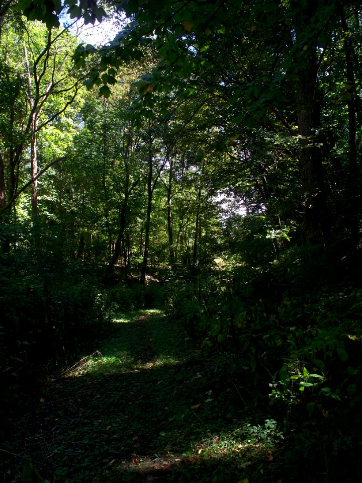 Kane Woods, 2015-09-26, 02