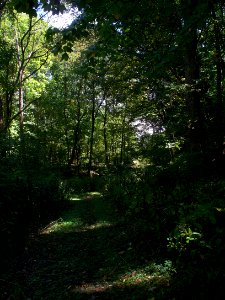 Kane Woods, 2015-09-26, 02