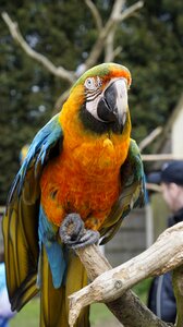 Animal zoo nature