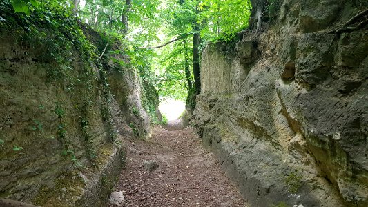 Kanne-holle weg bij Kasteel Neercanne (4)
