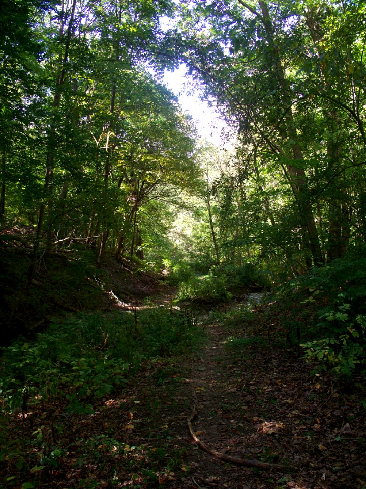 Kane Woods, 2015-09-26, 01
