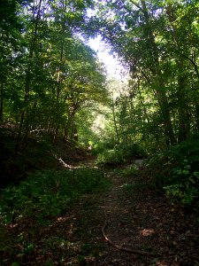 Kane Woods, 2015-09-26, 01