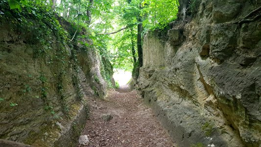 Kanne-holle weg bij Kasteel Neercanne (3)