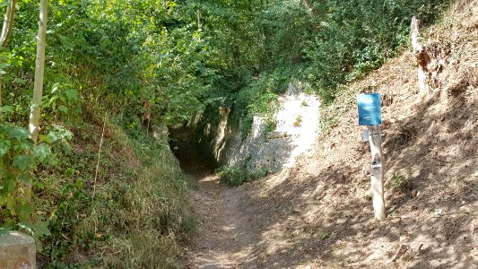 Kanne-holle weg bij Kasteel Neercanne (5)