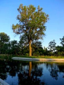 Kanal Notecki sluza Lochowo 13 07-2014