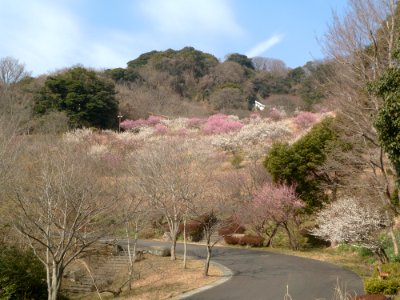 Kanazawa-Shizen-Koen Park 09