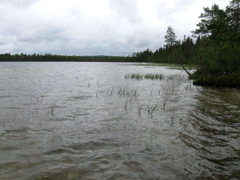 Kalettomanlampi Puolanka