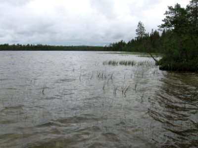 Kalettomanlampi Puolanka