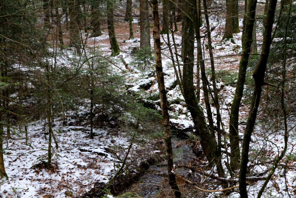 Kaltes Wasser Taunus 2021-04-06 04