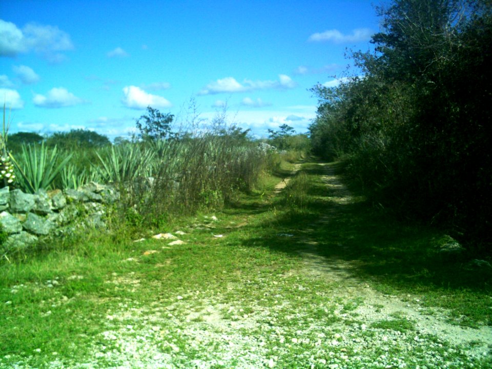 Kankabchén (Tixkokob), Yucatán (18)