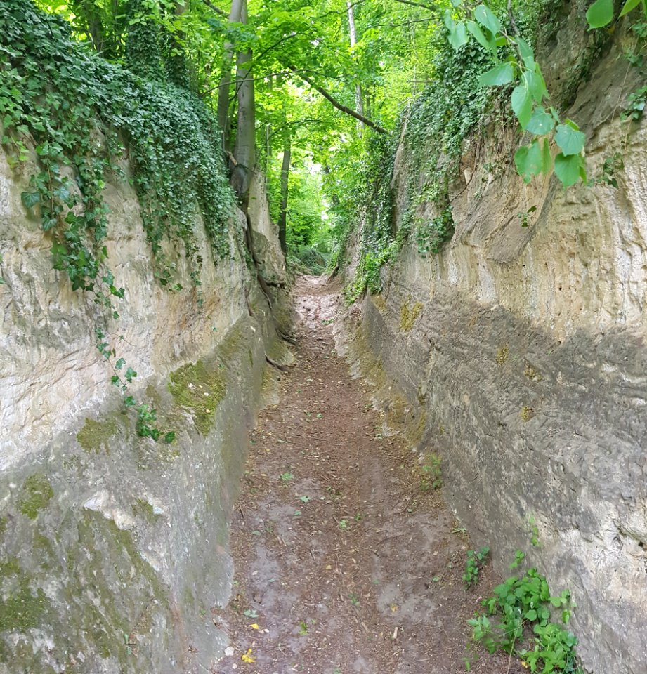 Kanne-holle weg bij Kasteel Neercanne (2)