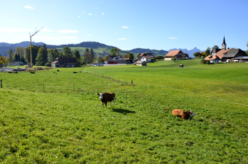 Kanton Bern - Schwarzenegg