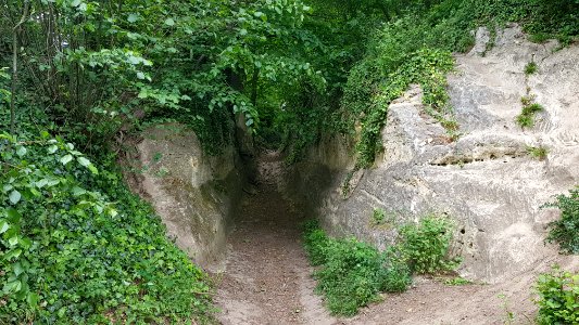 Kanne-holle weg bij Kasteel Neercanne (1)