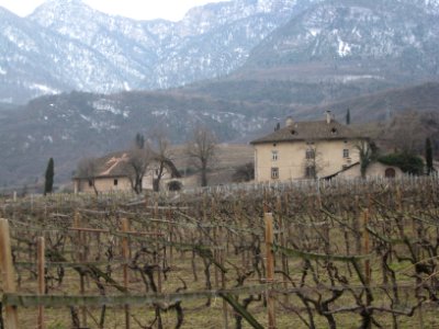 Kaltenburg bei Kaltern (2)