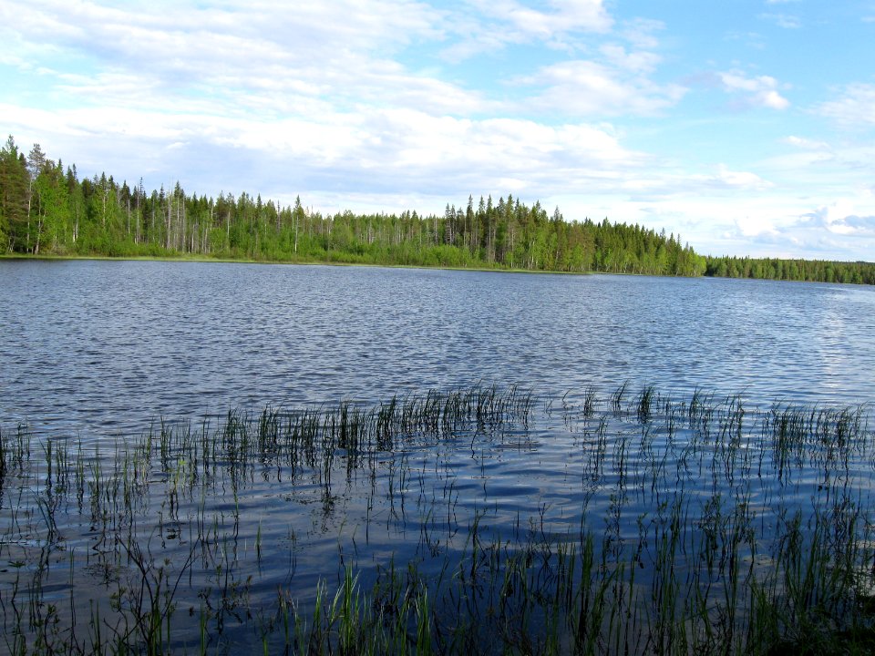 Kalliuslampi