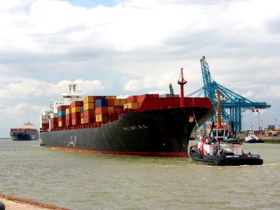 Kalliopi RC - IMO 8902565, Port of Antwerp pic2