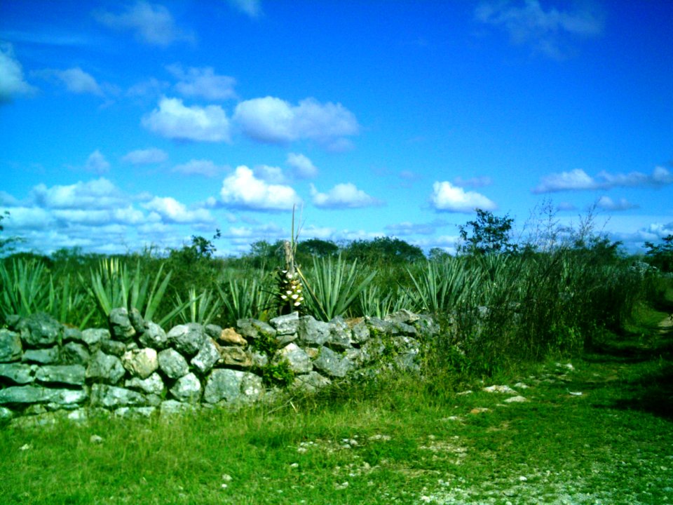 Kankabchén (Tixkokob), Yucatán (17)