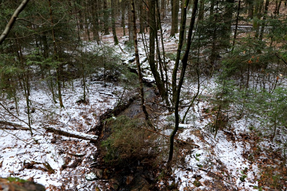 Kaltes Wasser Taunus 2021-04-06 05