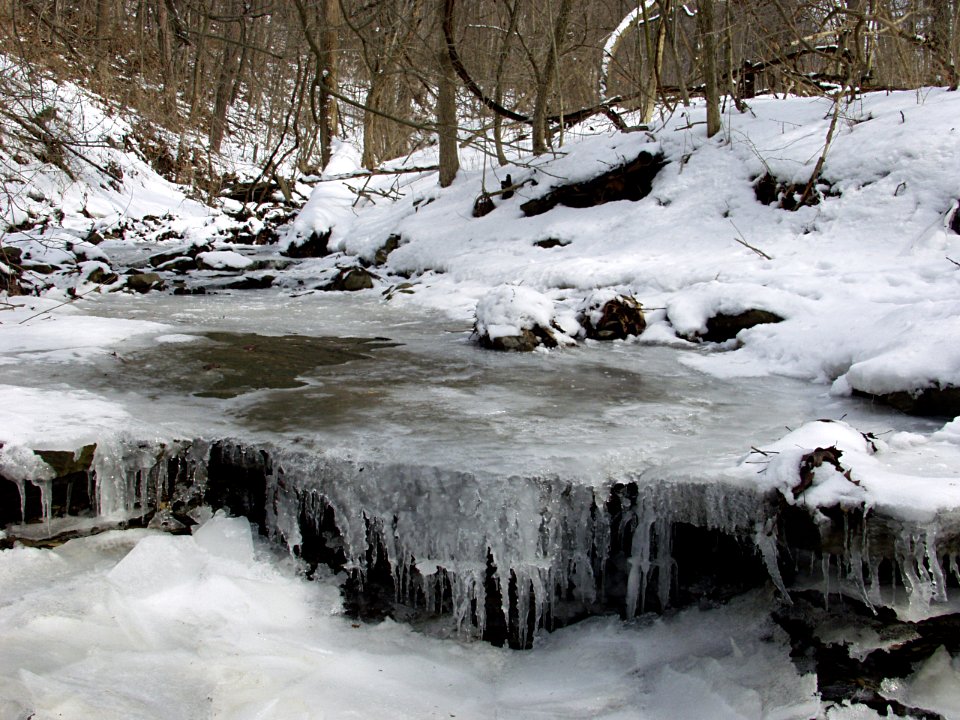 Kane Woods Nature Area, 2015-03-07, 02
