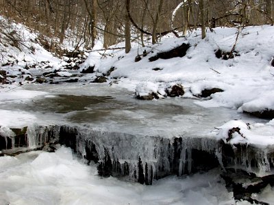 Kane Woods Nature Area, 2015-03-07, 02 photo