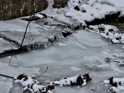 Kane Woods Nature Area, 2015-03-07, 01 photo