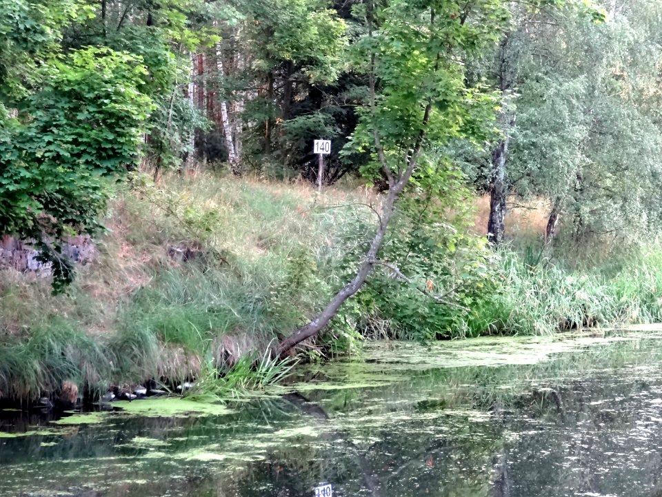 Kanal Notecki Murowaniec 4 07-2014