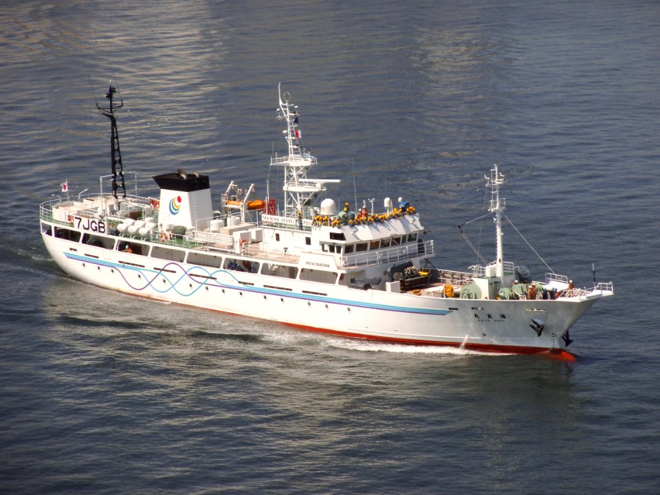 Kaiyu-maru, a training ship which Fukuoka and Yamaguchi and Nagasaki navigate jointly ,at the Rainbow bridge