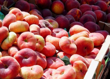 Healthy fresh vitamins