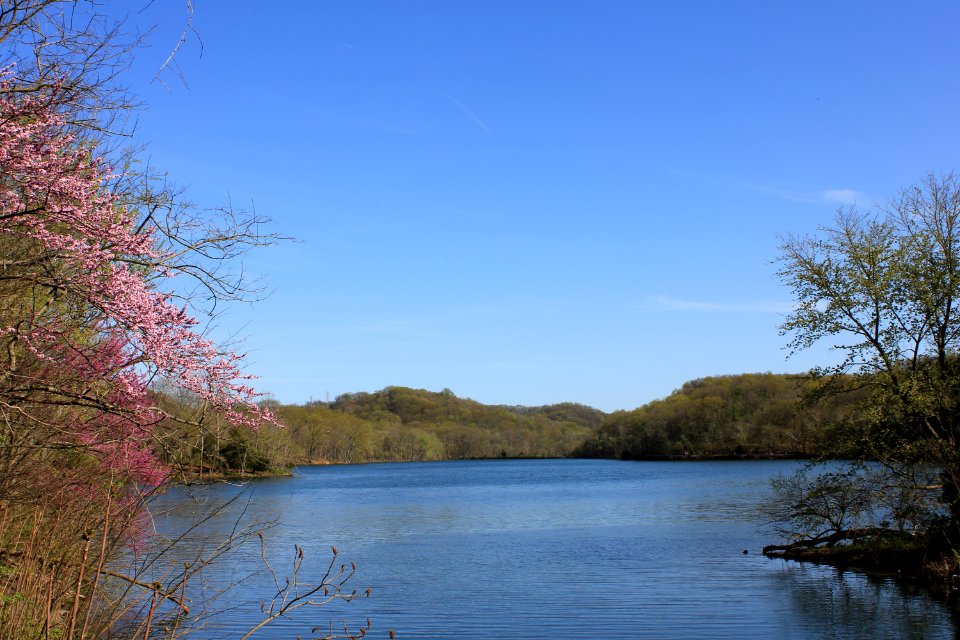 Kaldari Radnor Lake