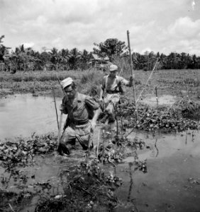 Kajoe-Agoeng (Sumatra) een patrouille van 4-7 RI op weg. In dit moerassige land, Bestanddeelnr 13506